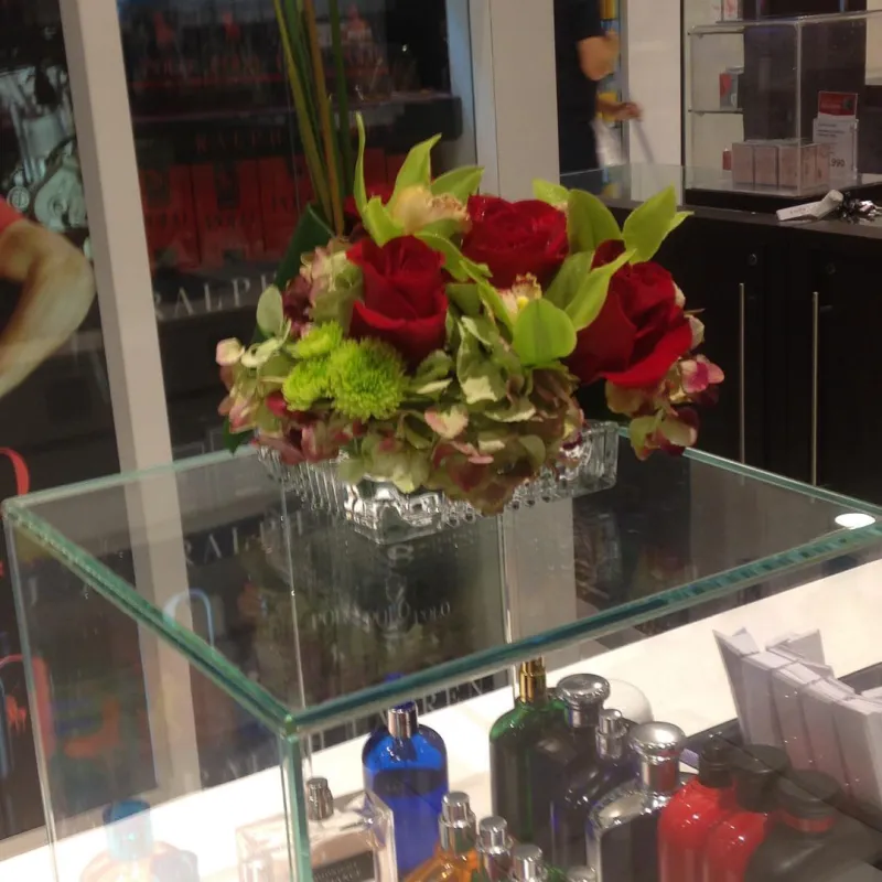 Experiencia que Eleva el Estándar