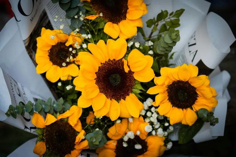 Presentación cuidada en cada detalle