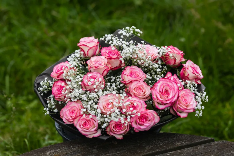 Ramo Clásico de Rosas Rosadas con Gypsophila