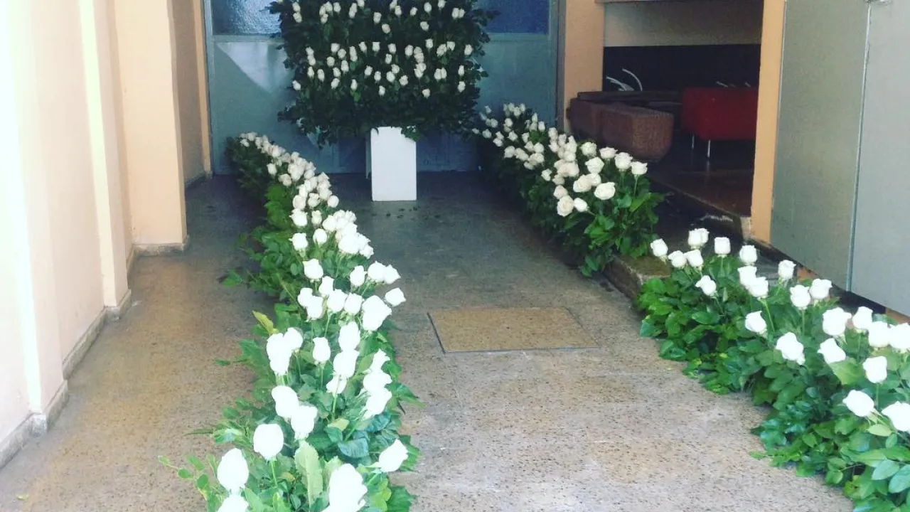 Camino de Flores: Continuidad Visual y Elegancia Natural